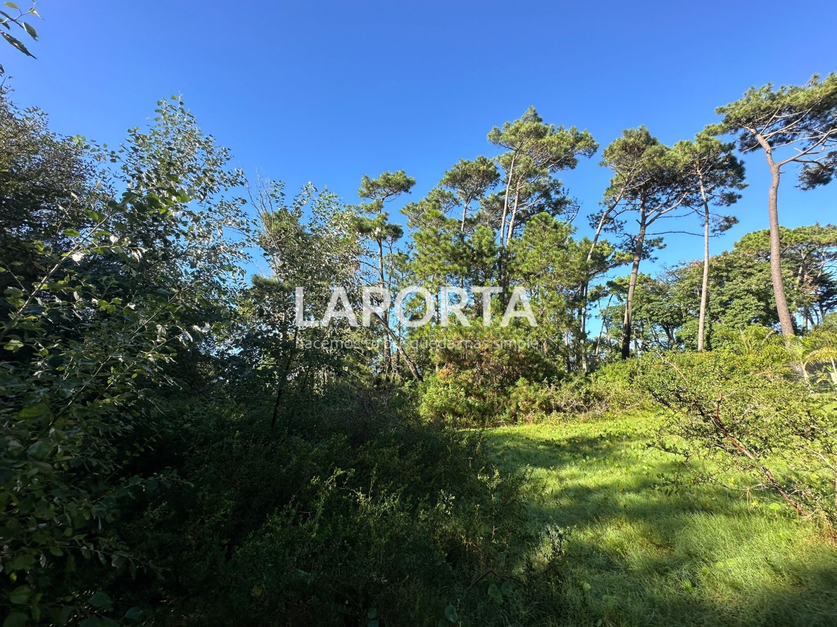 Terreno ID.58 - Terreno en Venta en Punta del Este Barrio San Rafael
