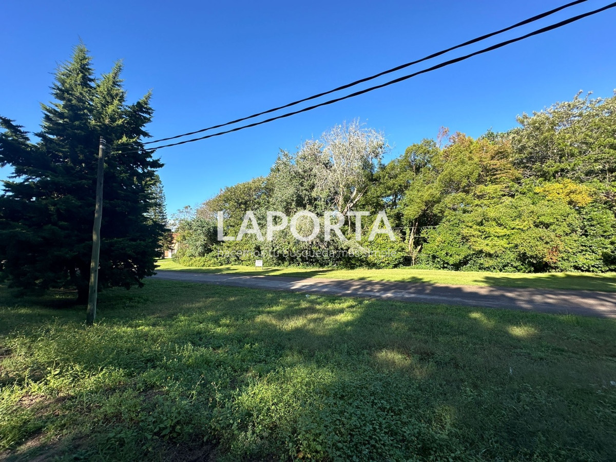 Terreno ID.58 - Terreno en Venta en Punta del Este Barrio San Rafael