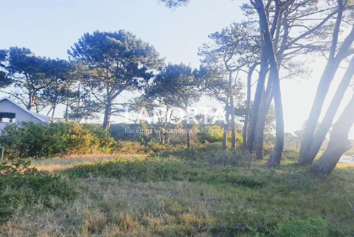 Terreno ID.54 - Terreno en Punta del Este, El Placer