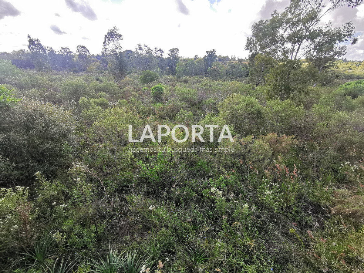 Terreno ID.862/Terrenos-en-Arenitas-Blancas - Terrenos en Arenitas Blancas