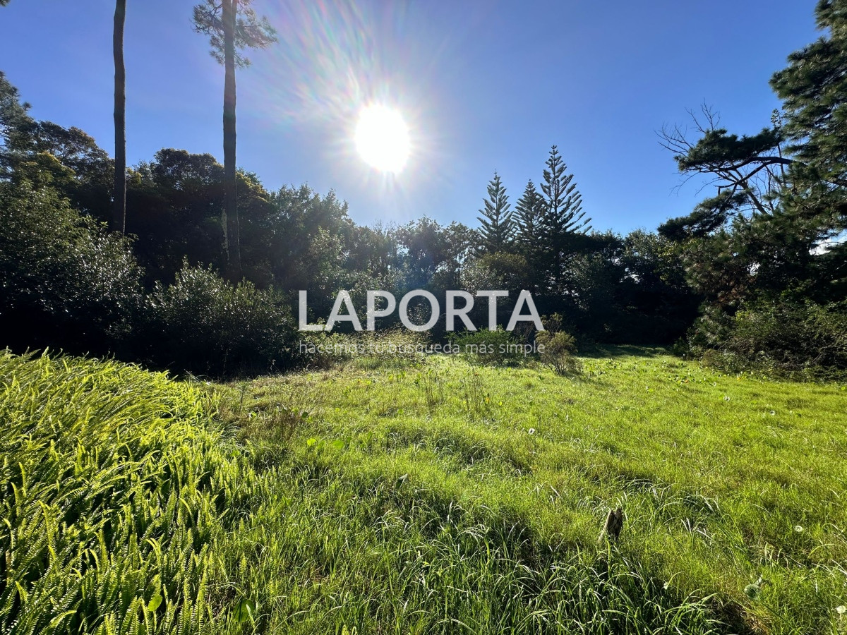 Terreno ID.58 - Terreno en Venta en Punta del Este Barrio San Rafael