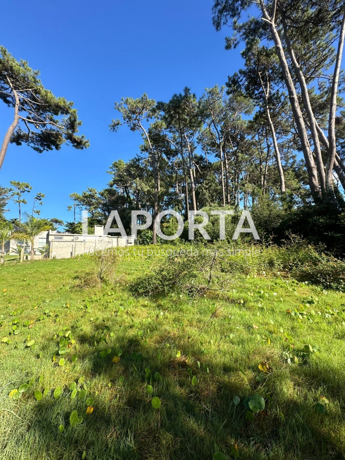 Terreno ID.58 - Terreno en Venta en Punta del Este Barrio San Rafael