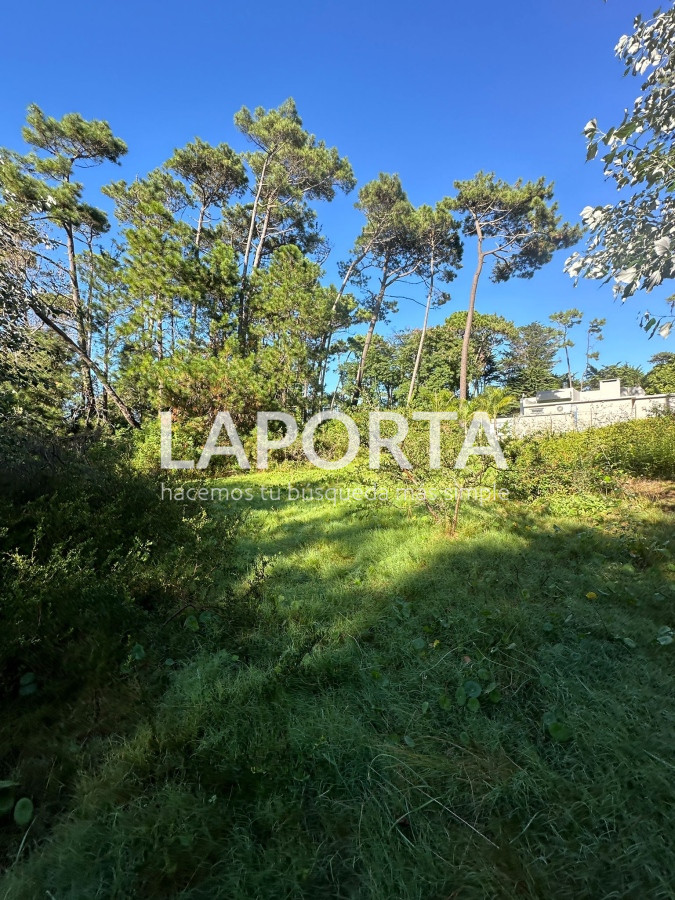 Terreno ID.58 - Terreno en Venta en Punta del Este Barrio San Rafael