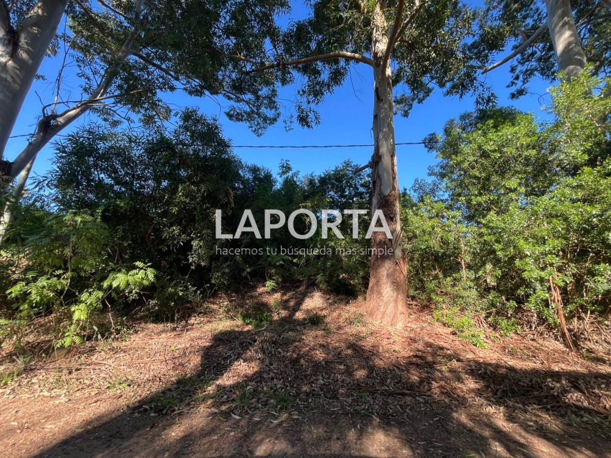 Terreno ID.1844/Terreno-en-Venta-en-Arenitas-Blancas - Terreno en Venta en Arenitas Blancas