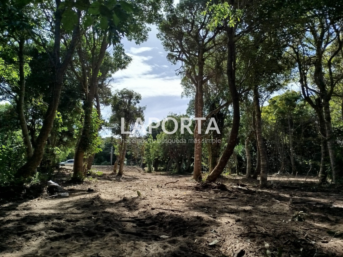 Terreno ID.2015/Terreno-en-Venta-en-Punta-Ballena-a-400-Metros-del-Mar--1.100-m² - Terreno en Venta en Punta Ballena a 400 Metros del Mar - 1.100 m²