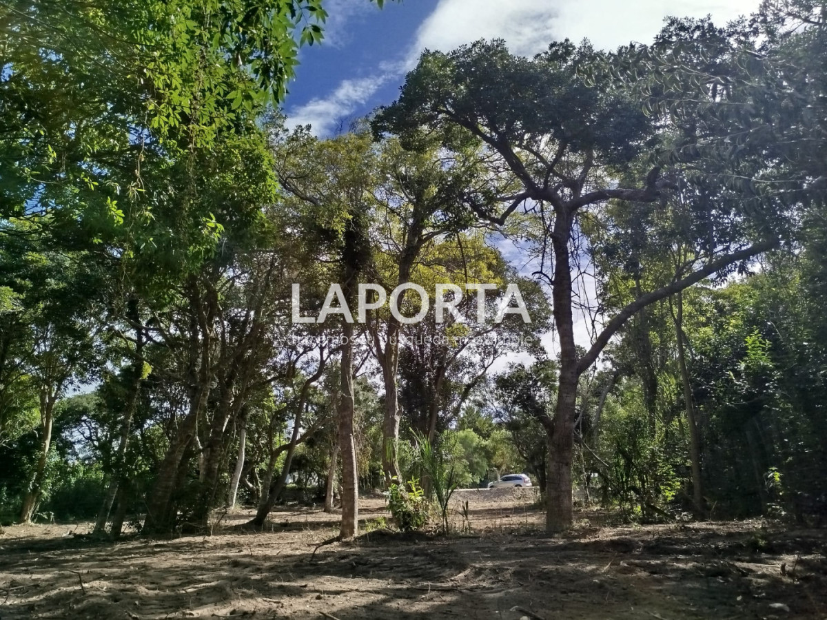 Terreno ID.2015/Terreno-en-Venta-en-Punta-Ballena-a-400-Metros-del-Mar--1.100-m² - Terreno en Venta en Punta Ballena a 400 Metros del Mar - 1.100 m²