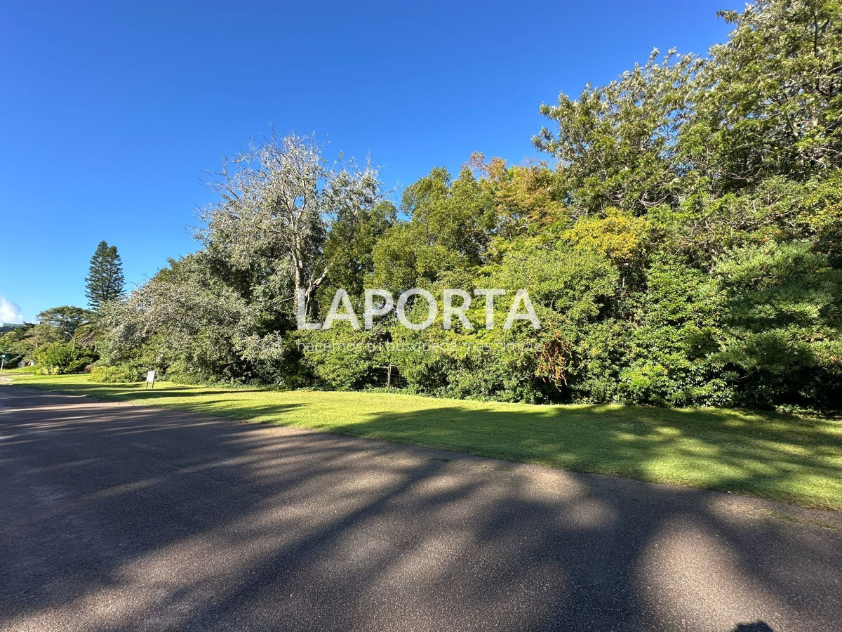 Terreno ID.58 - Terreno en Venta en Punta del Este Barrio San Rafael
