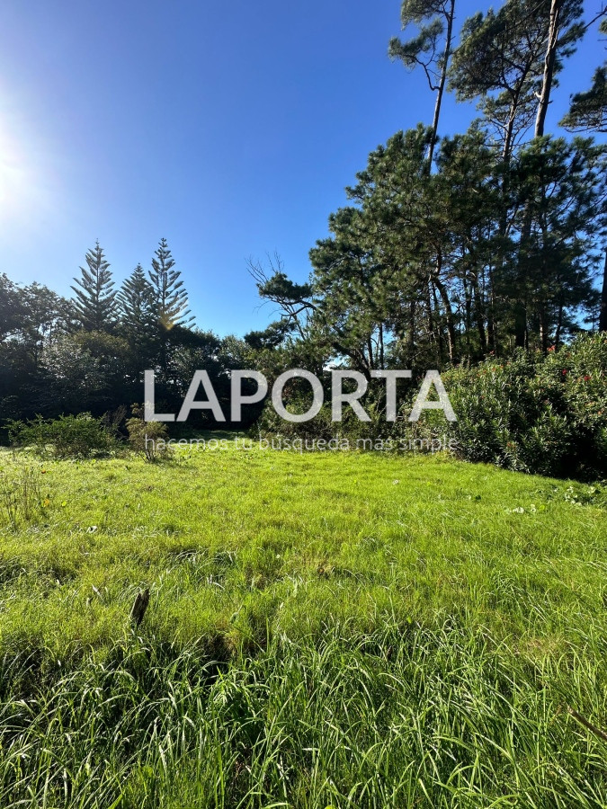 Terreno ID.58 - Terreno en Venta en Punta del Este Barrio San Rafael