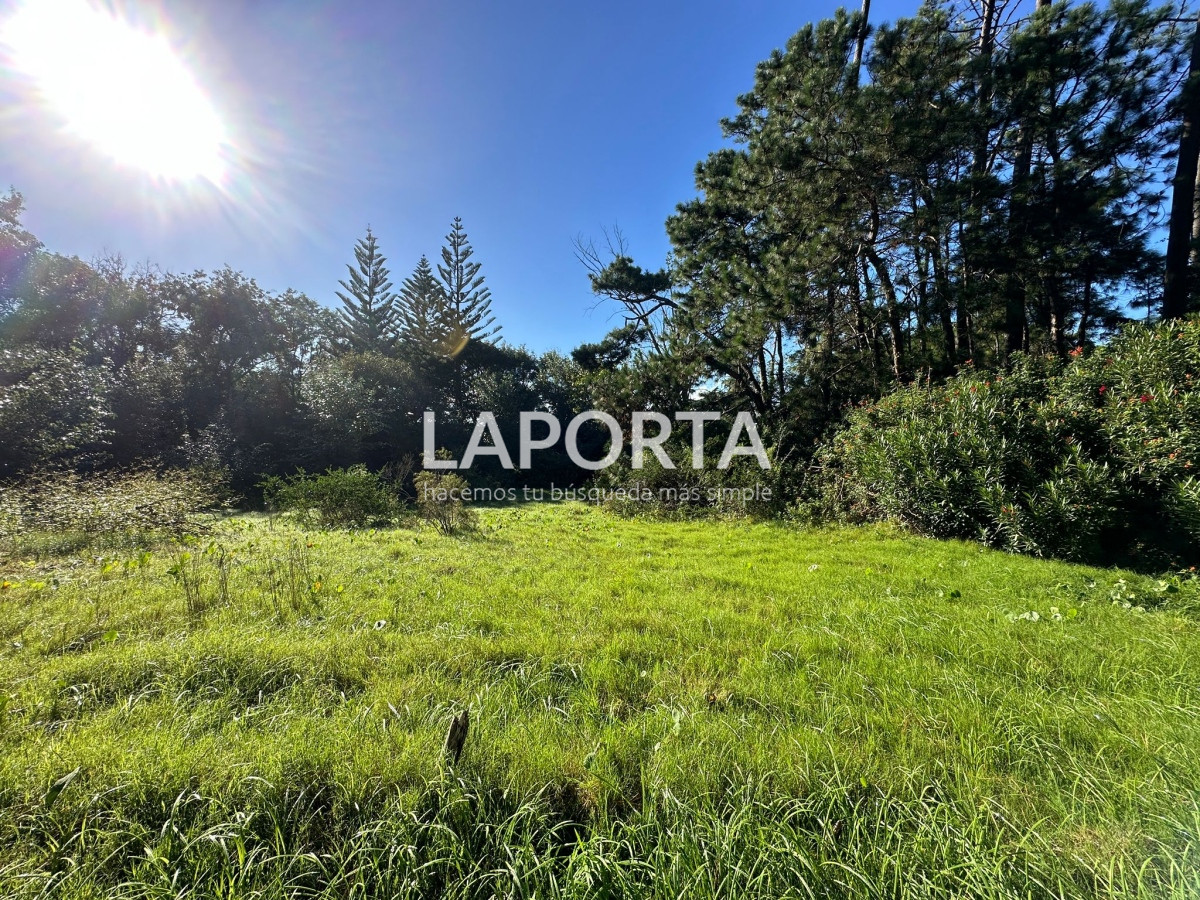 Terreno ID.58 - Terreno en Venta en Punta del Este Barrio San Rafael