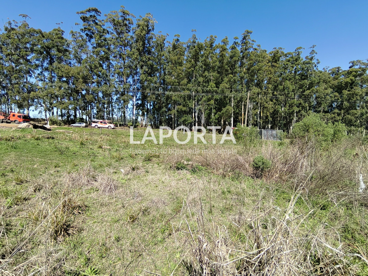 Terreno ID.589/Terreno-de-1-Hectárea-en-Ubicación-Privilegiada-sobre-By-Pass - Terreno de 1 Hectárea en Ubicación Privilegiada sobre By Pass