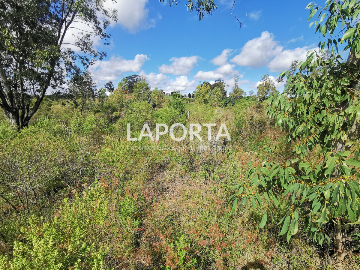 Terreno ID.862/Terrenos-en-Arenitas-Blancas - Terrenos en Arenitas Blancas