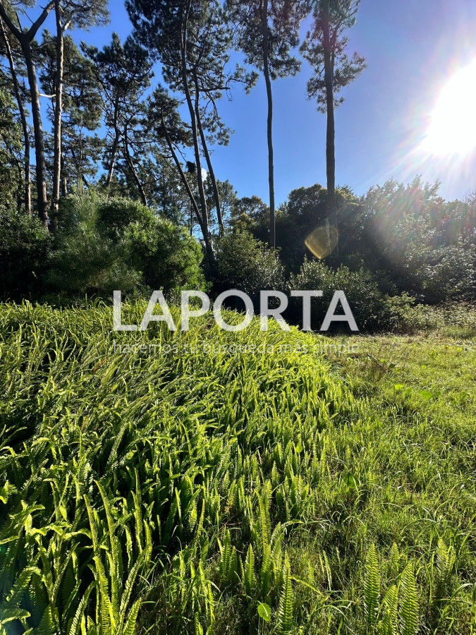 Terreno ID.58 - Terreno en Venta en Punta del Este Barrio San Rafael