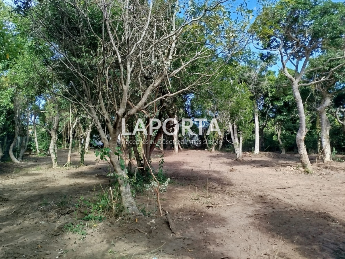 Terreno ID.2015/Terreno-en-Venta-en-Punta-Ballena-a-400-Metros-del-Mar--1.100-m² - Terreno en Venta en Punta Ballena a 400 Metros del Mar - 1.100 m²