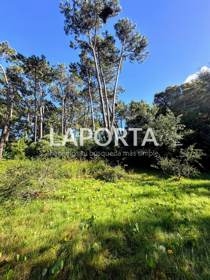 Terreno ID.58 - Terreno en Venta en Punta del Este Barrio San Rafael