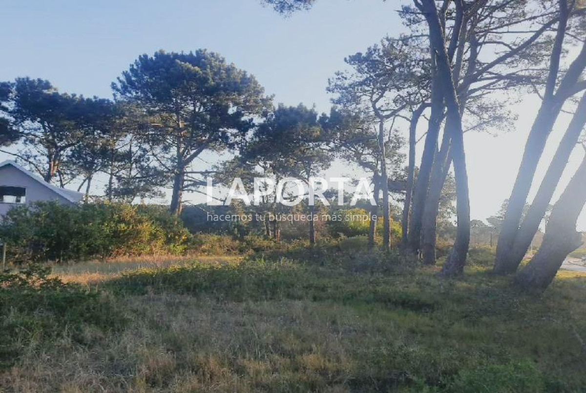 Terreno ID.54 - Terreno en Punta del Este, El Placer
