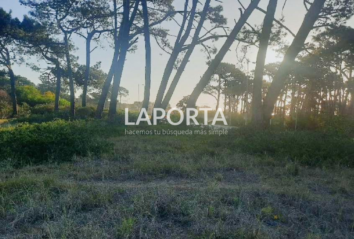 Terreno ID.54 - Terreno en Punta del Este, El Placer