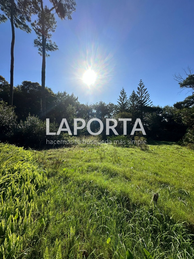 Terreno ID.58 - Terreno en Venta en Punta del Este Barrio San Rafael