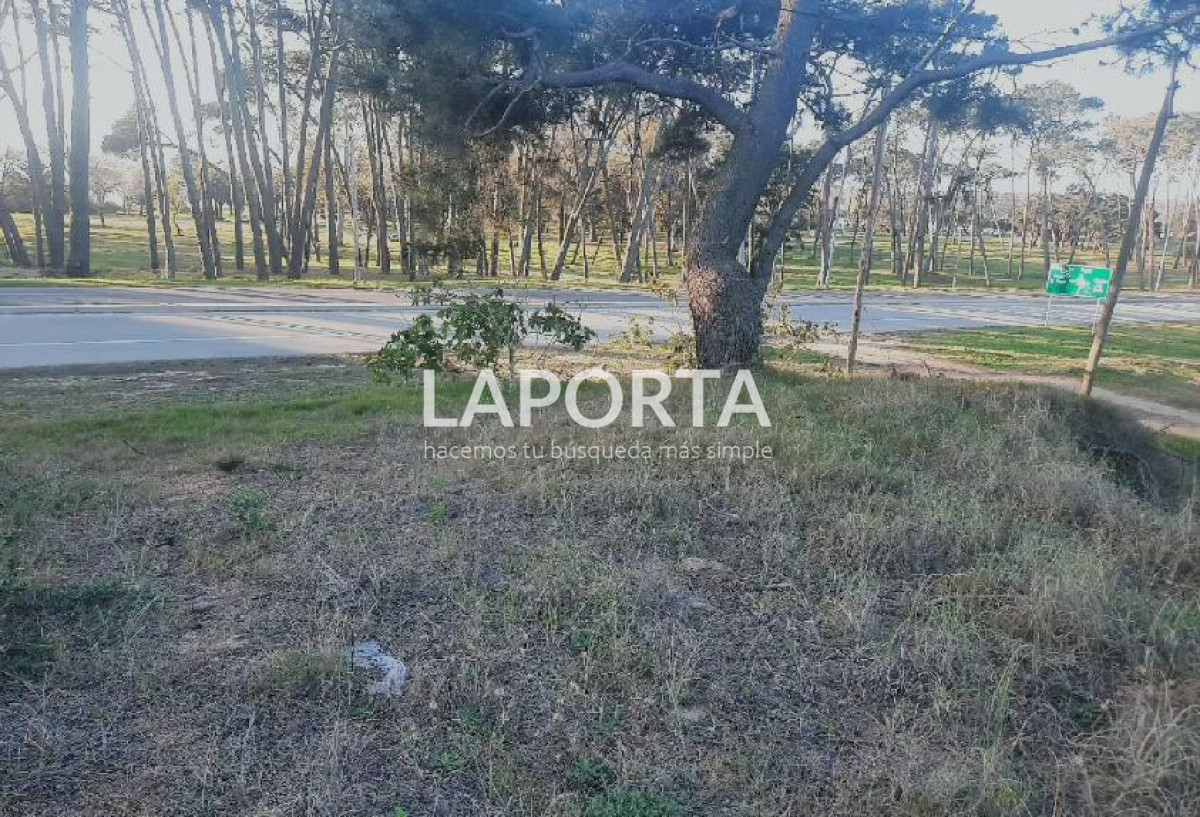 Terreno ID.54 - Terreno en Punta del Este, El Placer