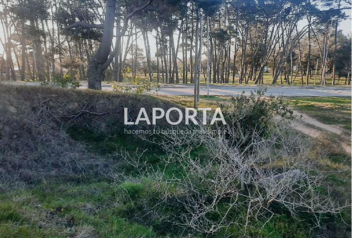 Terreno ID.54 - Terreno en Punta del Este, El Placer