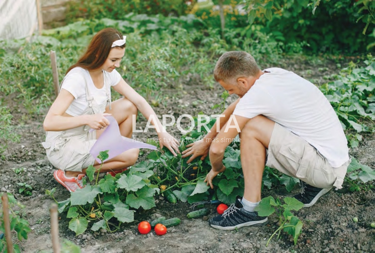 Terreno ID.690/Terrenos-en-Venta-en-Punta-del-Este-(Barrio-Privado) - Terrenos en Venta en Punta del Este (Barrio Privado)