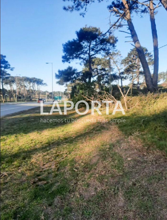 Terreno ID.54 - Terreno en Punta del Este, El Placer