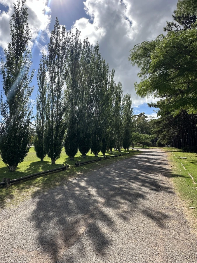Barrio Privado Laguna De Los Cisnes — foto 8