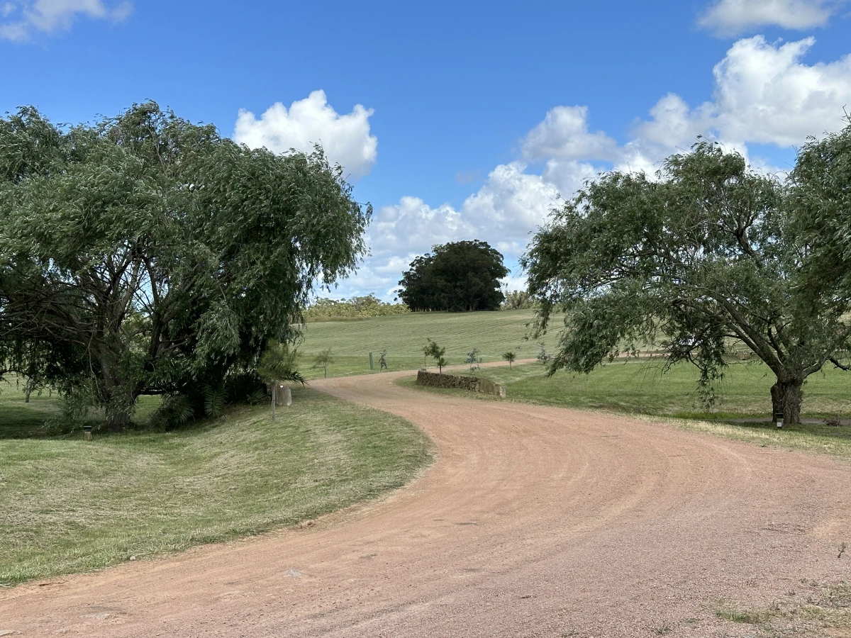 Barrio Privado Laguna De Los Cisnes — foto 9