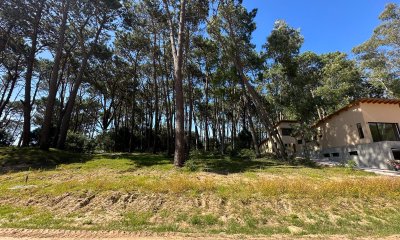 Terreno en Venta - Reserva Montoya - Lote 305