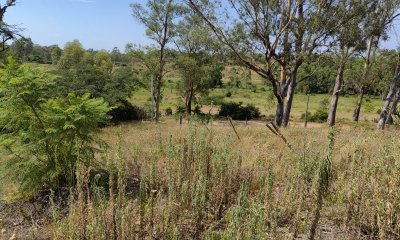 Terreno de 462 m2 - Arenitas Blancas