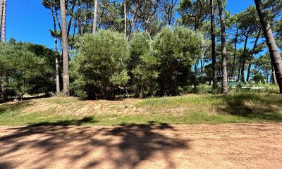 Opotunidad : Terreno en Venta Punta del Este Reserva Montoya