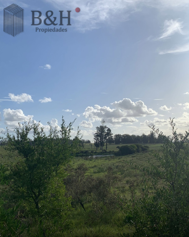Campo Ref.6519 - Campo en Venta en Inmejorable zona RUTA 104 MANANTIALES