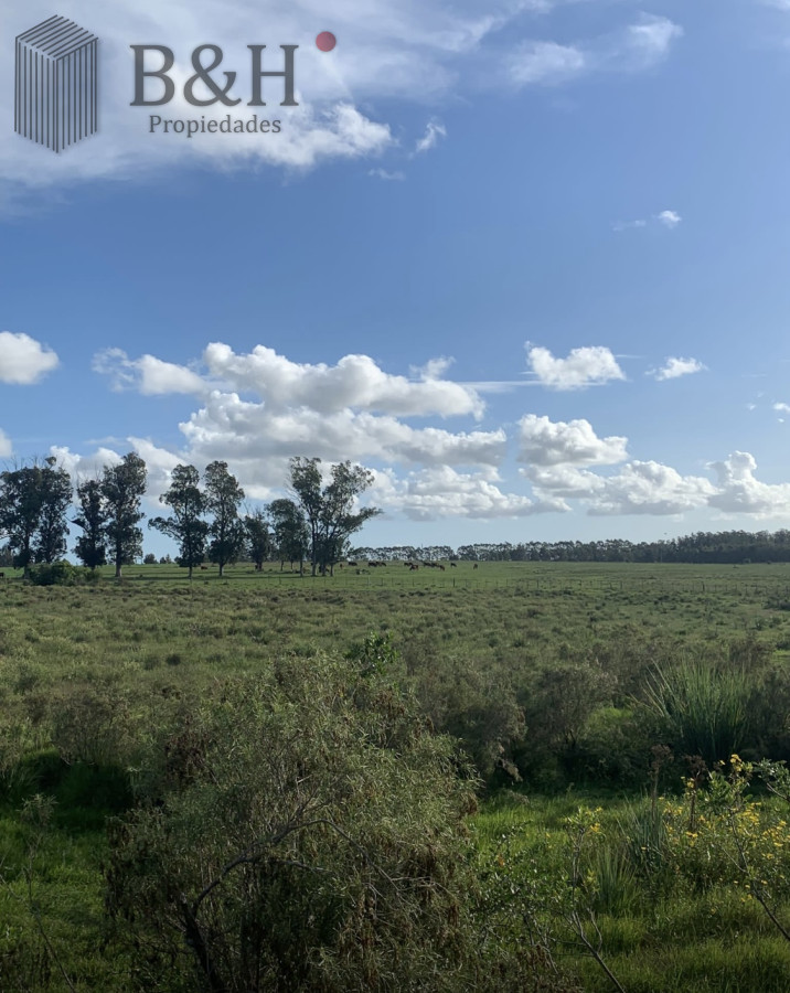 Campo Ref.6519 - Campo en Venta en Inmejorable zona RUTA 104 MANANTIALES