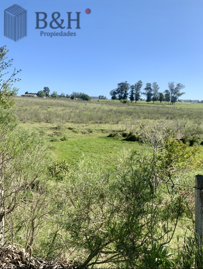 Campo Ref.6519 - Campo en Venta en Inmejorable zona RUTA 104 MANANTIALES