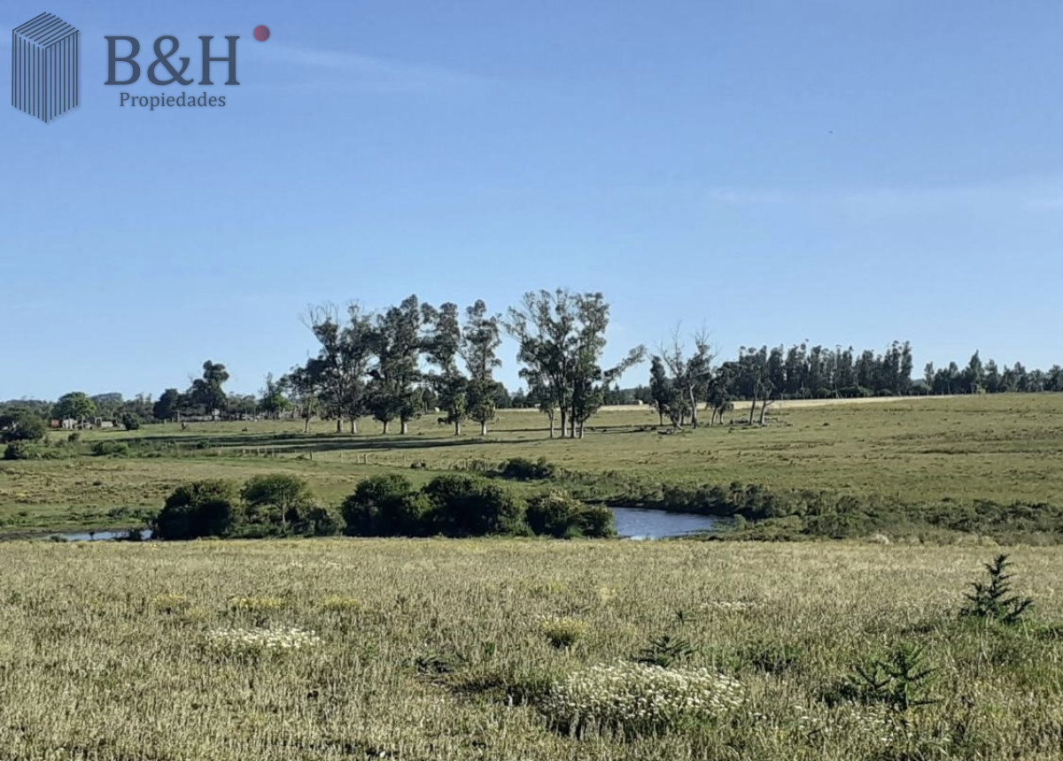 Campo Ref.6519 - Campo en Venta en Inmejorable zona RUTA 104 MANANTIALES