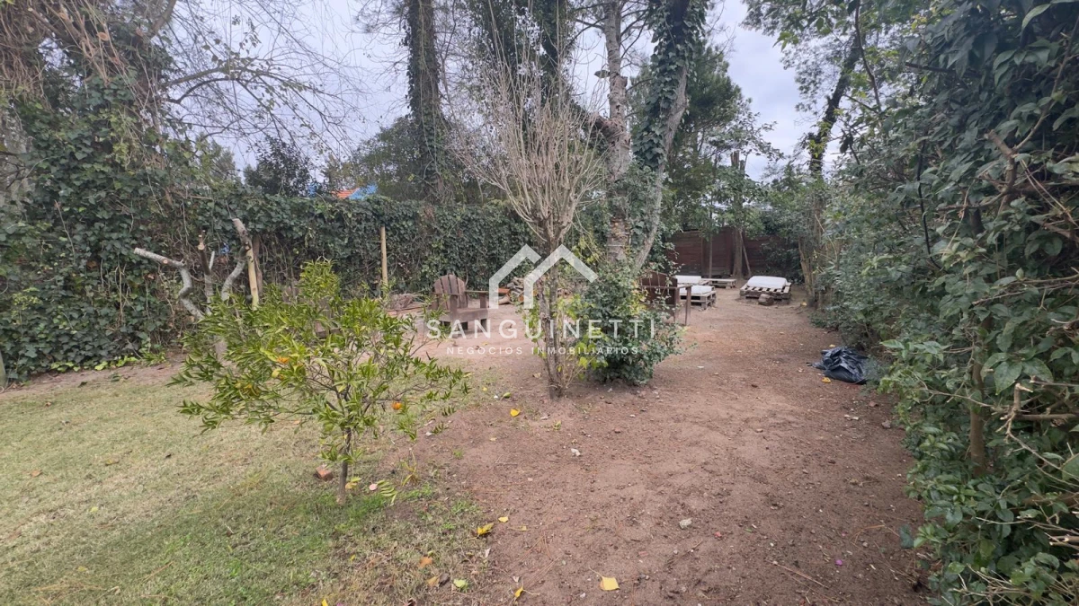 https://ri.com.uy/f/519/1/1200/0/0/0/4a5459efccd818697eaaa142665fb274.webp