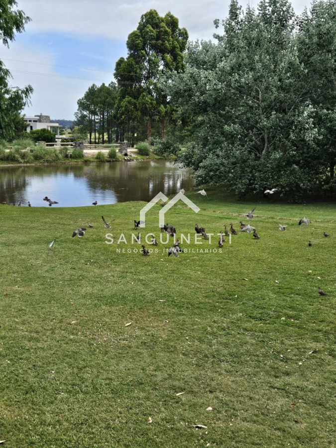 https://ri.com.uy/f/519/1/1200/0/0/0/c10e0957b4cb99c18c0b2ce6bed09a85.jpg