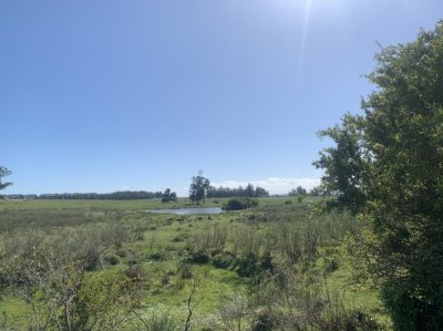Campo en Venta en Inmejorable zona RUTA 104 MANANTIALES