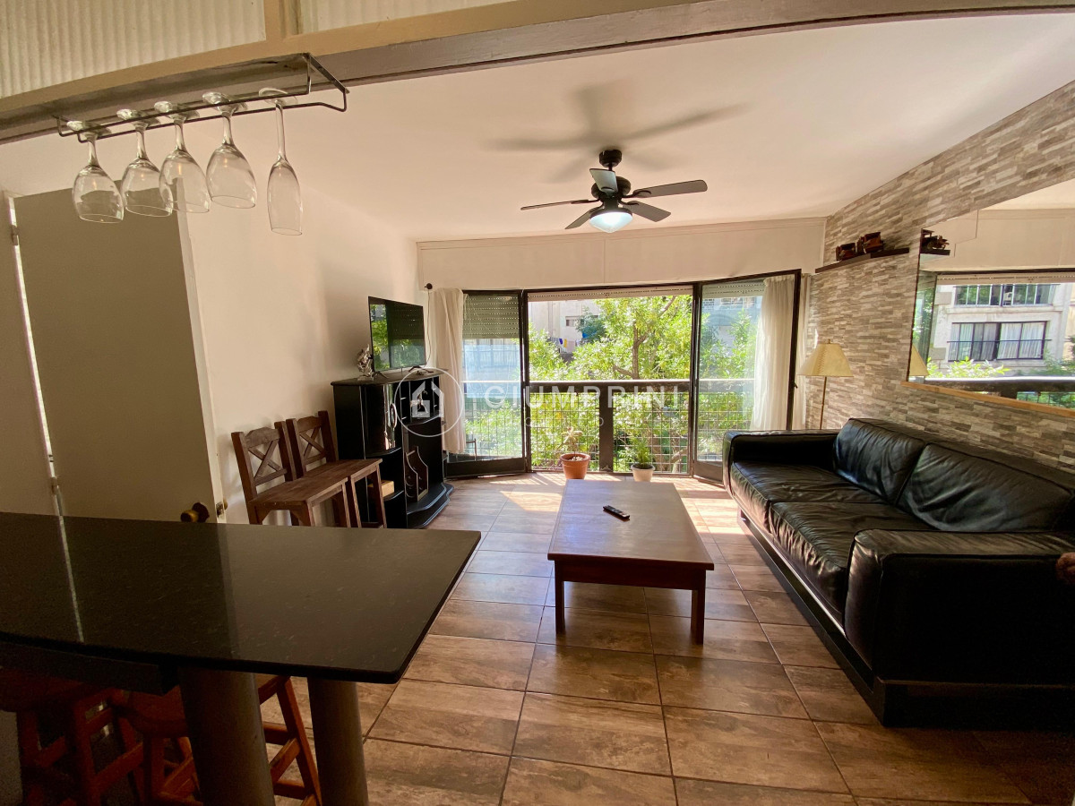 Apartamento ID.378 - Alquiler apartamento amoblado 1 dormitorio en Pocitos 