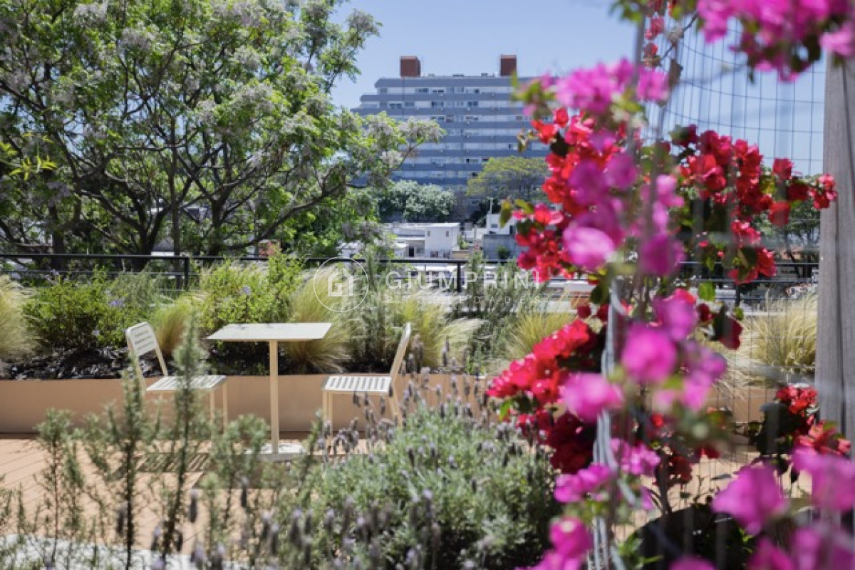 Apartamento ID.1127 - Alquiler Apartamento 2 Dormitorios - La Blanqueada - Ventura Boulevard