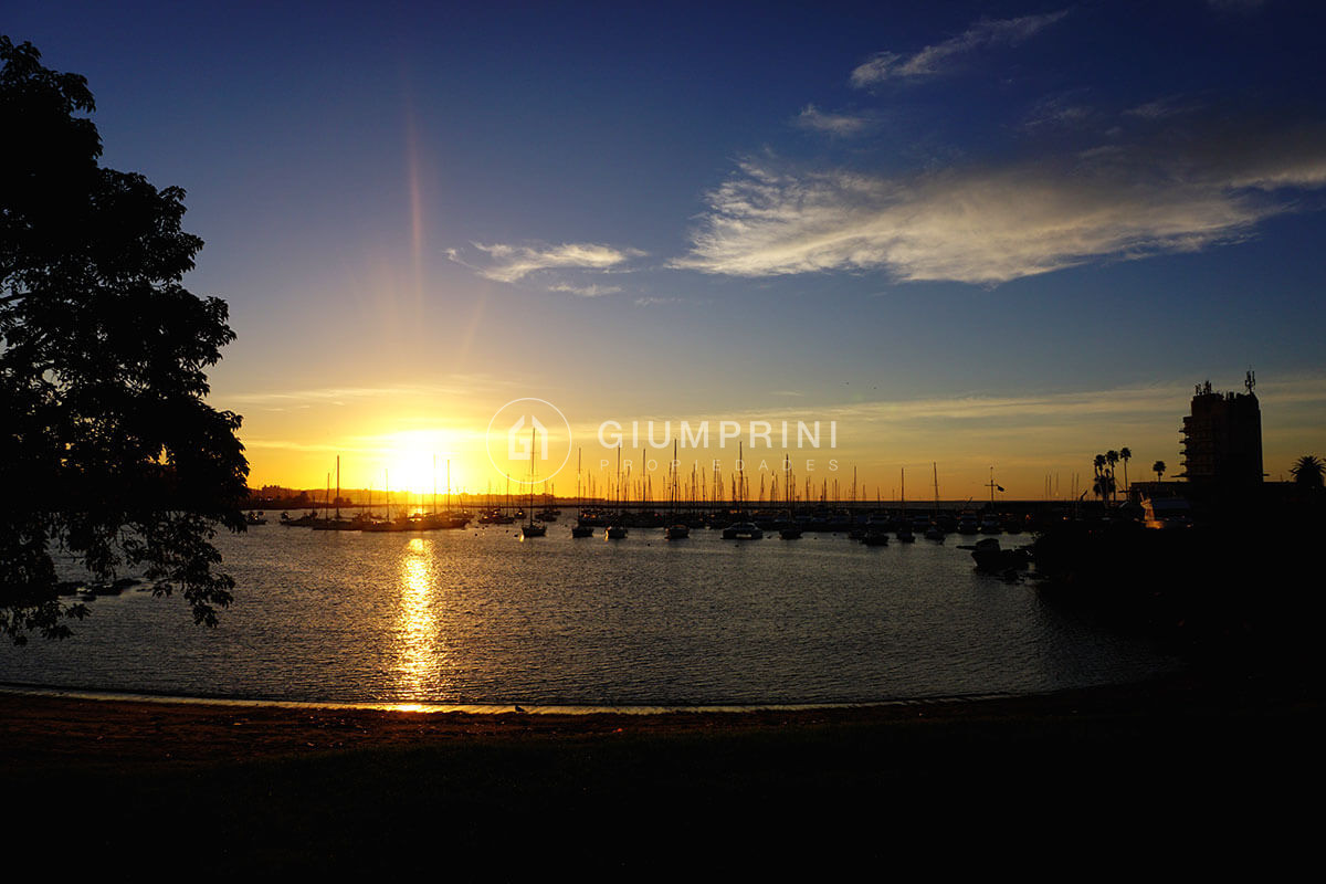 Apartamento ID.989 - Venta Apartamento monoambiente - Pocitos Nuevo - 1317 Studio