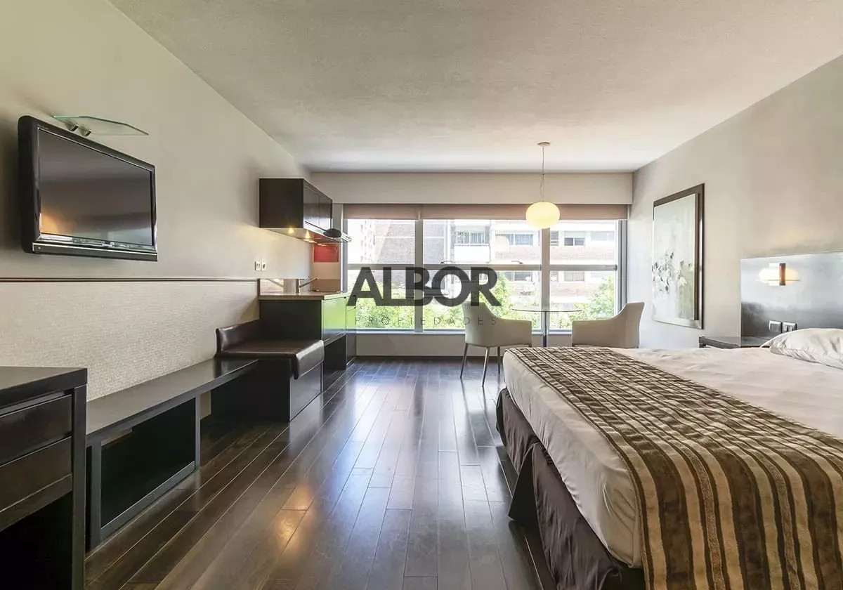 Apartamento ID.375 - Alquiler Apto Mono con muebles - Punta Carretas