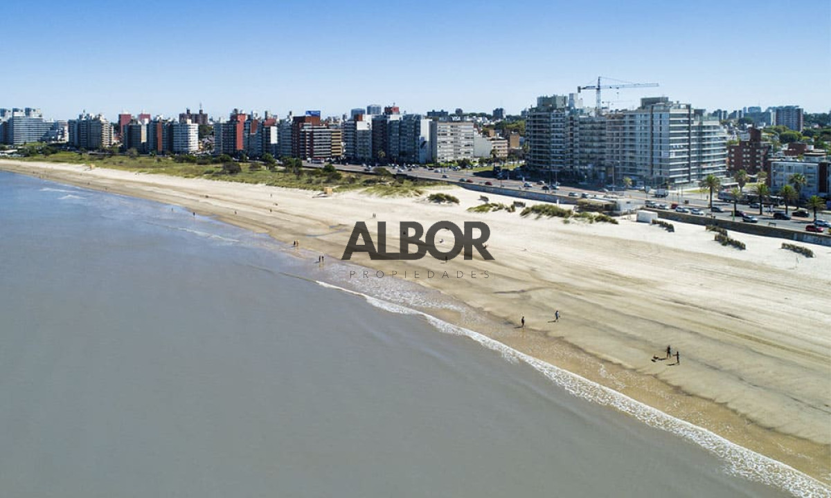 Apartamento ID.371 - Alquiler Apartamento un Dormitorio -Malvín