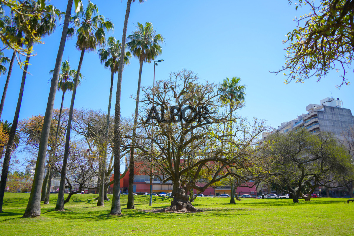 Apartamento ID.663 - Venta Apartamento Penthouse 1 Dormitorio Punta Carretas - Aló Biarritz