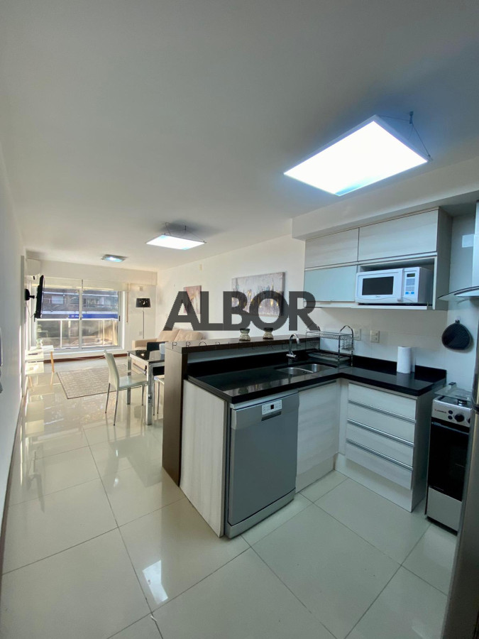 Apartamento ID.437 - Alquiler Apartamento 2 Dormitorios Amoblado - Pocitos - Ciudad Jardín