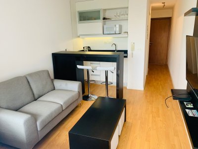 Alquiler Apartamento Monoambiente - Amoblado - Punta Carretas