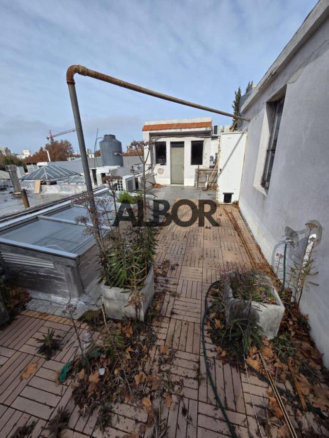 Casa ID.1453 - Alquiler casa de altos 4 dormitorios - 153 m2 - Terraza amplia - Parque Rodo 