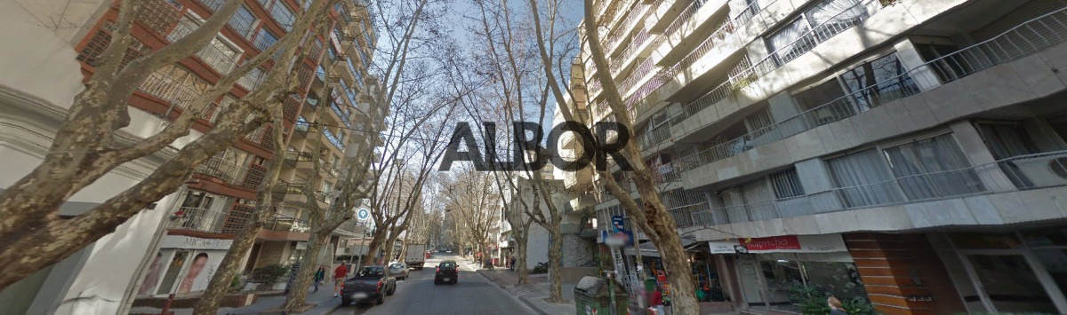Local Comercial ID.1358 - Alquiler local comercial al frente 319 m² - Pocitos 