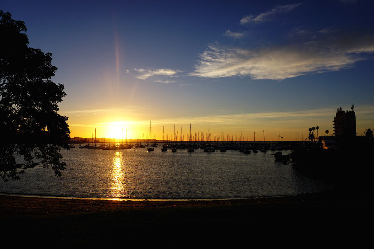 Venta Apartamento monoambiente - Pocitos Nuevo - 1317 Studio