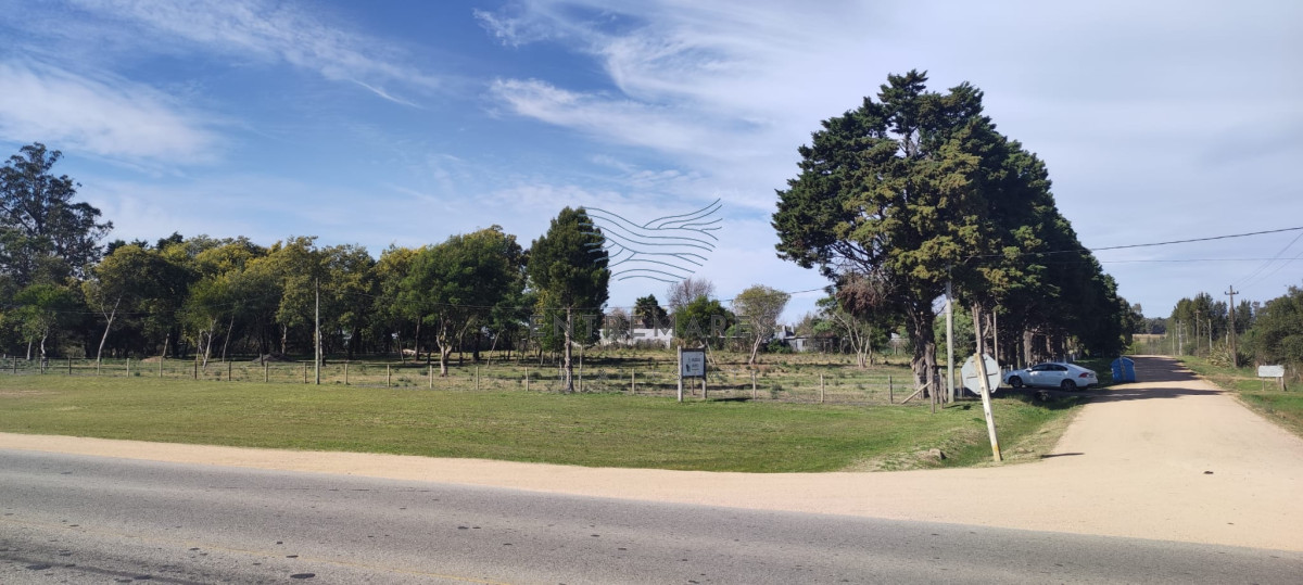 Terreno ID.232 - Fraccion de 10.000 m2, San Carlos sobre Ruta