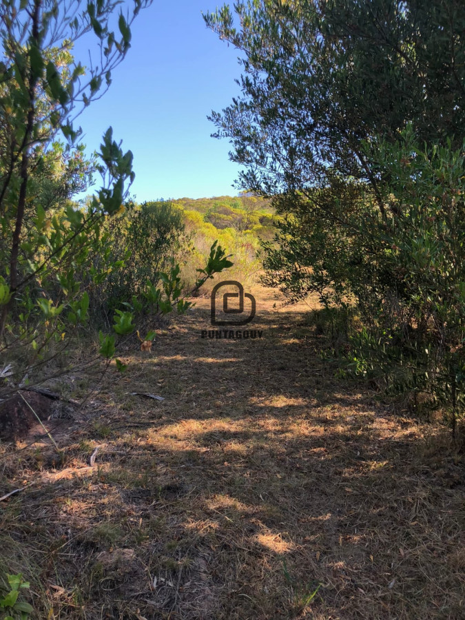 Chacra ID.1126 - Ruta 39, Km 46